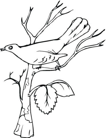 Nightingale Is Singing  Coloring Page